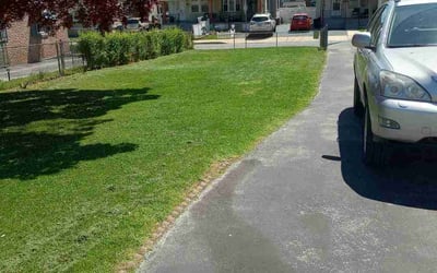 Photo of Domenic C.'s yard after getting lawn care in Clifton Heights, PA