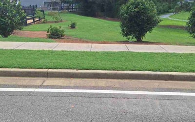 Photo of Rick F.'s yard after getting lawn care in Bremen, GA