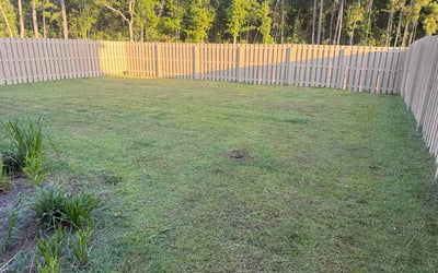 Photo of Elena G.'s yard after getting lawn care in Saugus, MA