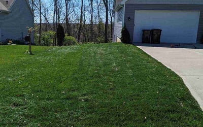 Photo of Jeff K.'s yard after getting lawn care in Milford, OH
