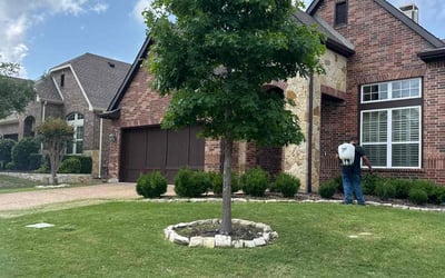 Photo of Ranabi G.'s yard after getting lawn care in Moncks Corner, SC