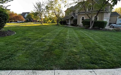 Photo of Michelle L.'s yard after getting lawn care in Paola, KS
