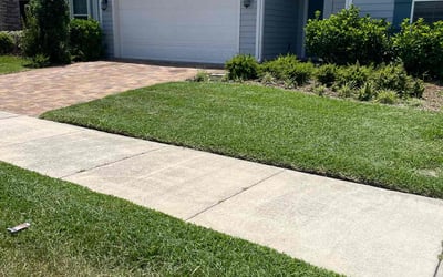 Photo of Sandra S.'s yard after getting lawn care in Satellite Beach, FL