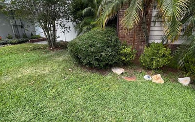 Photo of Dennis B.'s yard after getting lawn care in Summerfield, FL