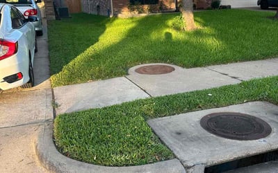 Photo of Marc F.'s yard after getting lawn care in Lutz, FL