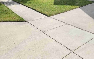 Photo of Michelle F.'s yard after getting lawn care in Belton, MO