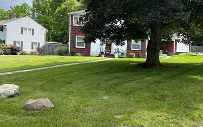 Photo of Haley W.'s yard after getting lawn care in Alabaster, AL