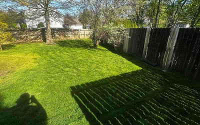 Photo of Leslie G.'s yard after getting lawn care in Carrollton, TX