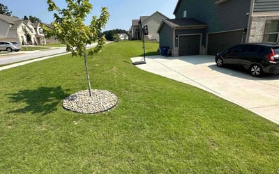 Photo of Peter F.'s yard after getting lawn care in Maryville, TN