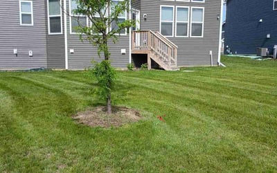 Photo of Christopher H.'s yard after getting lawn care in Santa Ana, CA