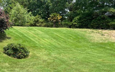 Photo of Angelo C.'s yard after getting lawn care in Kenly, NC