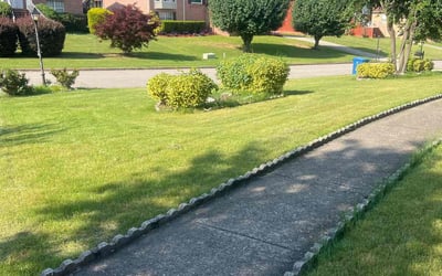 Photo of Dianna V.'s yard after getting lawn care in Fairfield, AL