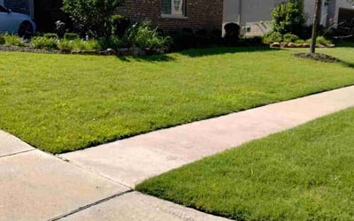 Photo of Neli K.'s yard after getting lawn care in Attleboro, MA
