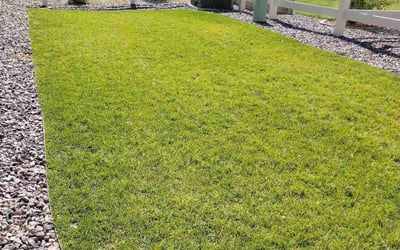 Photo of Sharon H.'s yard after getting tree care in Brighton, CO