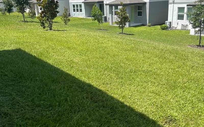 Photo of April J.'s yard after getting lawn care in Raymore, MO