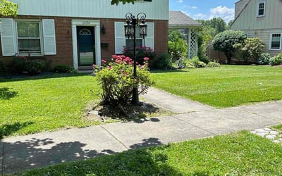 Photo of Darren F.'s yard after getting lawn care in Washington, NJ