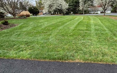 Photo of Craig B.'s yard after getting lawn care in Damascus, MD