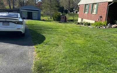 Photo of Michele T.'s yard after getting lawn care in Goldsboro, NC