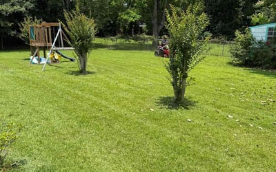Photo of Colton B.'s yard after getting lawn care in Prattville, AL
