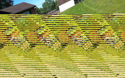 Photo of Mary S.'s yard after getting lawn care in Heath, OH