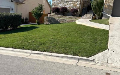 Photo of Raymond G.'s yard after getting lawn care in Dripping Springs, TX