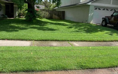 Photo of Austin P.'s yard after getting lawn care in Lake Mary, FL