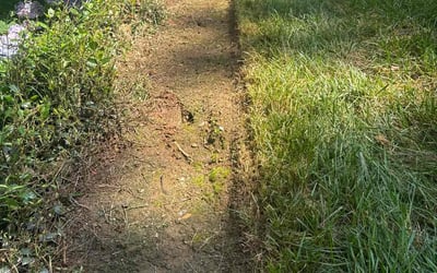 Photo of Haley W.'s yard after getting lawn care in Ramona, CA