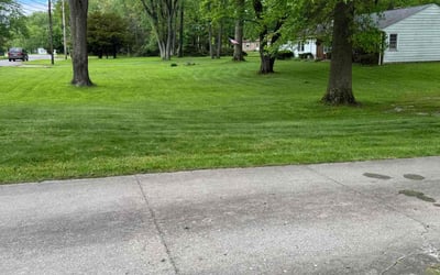 Photo of Raymond R.'s yard after getting lawn care in Holbrook, NY