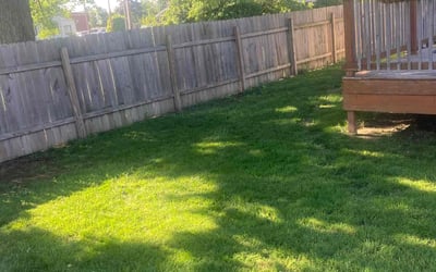 Photo of Rudy P.'s yard after getting lawn care in Lake Forest, CA
