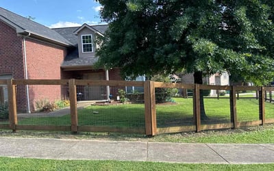 Photo of Eric N.'s yard after getting lawn care in Pleasant View, TN
