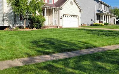 Photo of Linda A.'s yard after getting lawn care in Powell, TN