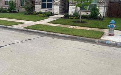 Photo of Dani C.'s yard after getting lawn care in Frisco, TX