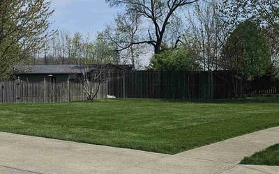 Photo of Sally L.'s yard after getting lawn care in Carmel, IN
