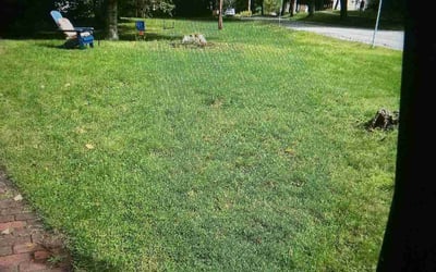 Photo of Joshua G.'s yard after getting lawn care in Danvers, MA