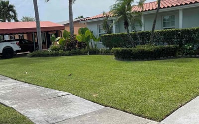 Photo of Steve H.'s yard after getting lawn care in Miami, FL