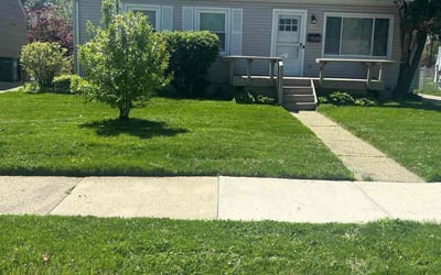 Photo of John R.'s yard after getting lawn care in Royal Oak, MI