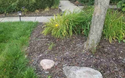 Photo of Kelly Y.'s yard after getting lawn care in Hudsonville, MI