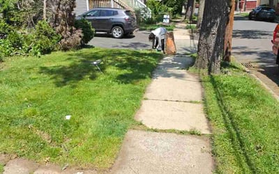 Photo of Mohsen M.'s yard after getting lawn care in Sudbury, MA