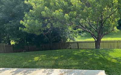 Photo of Jason H.'s yard after getting lawn care in Bethesda, MD