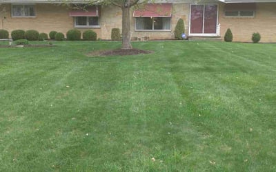 Photo of Debbie S.'s yard after getting lawn care in Northfield, OH