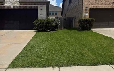 Photo of Fred F.'s yard after getting lawn care in Blackwood, NJ