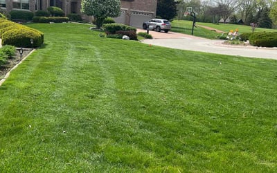 Photo of Heather H.'s yard after getting lawn care in Gallatin, TN