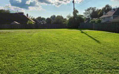 Photo of Jackie S.'s yard after getting lawn care in West Springfield, MA