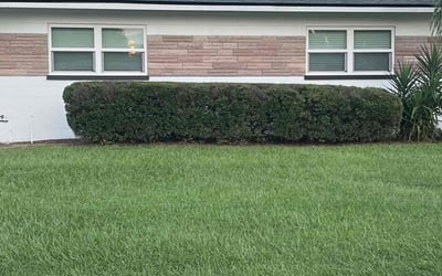 Photo of Jamar M.'s yard after getting lawn care in Bellmore, NY