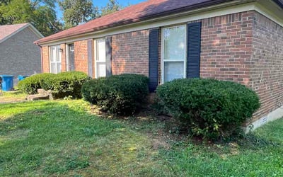 Photo of Karen R.'s yard after getting lawn care in East Windsor, CT