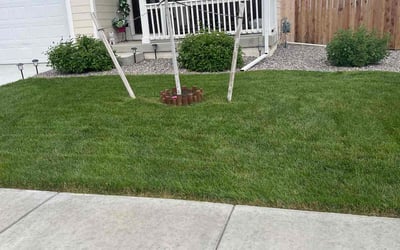 Photo of Logan J.'s yard after getting lawn care in Oklahoma City, OK