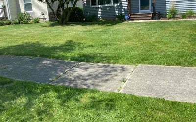 Photo of Elizabeth K.'s yard after getting lawn care in Hudson, OH