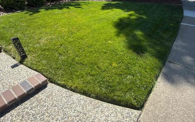 Photo of Ryan C.'s yard after getting lawn care in San Ramon, CA