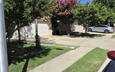 Photo of Tim M.'s yard after getting lawn care in Deptford, NJ