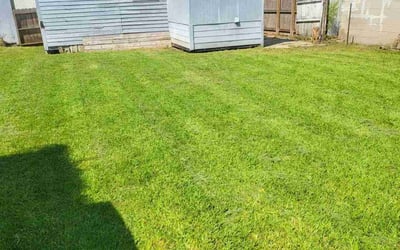 Photo of Cathy B.'s yard after getting lawn care in Hoover, AL